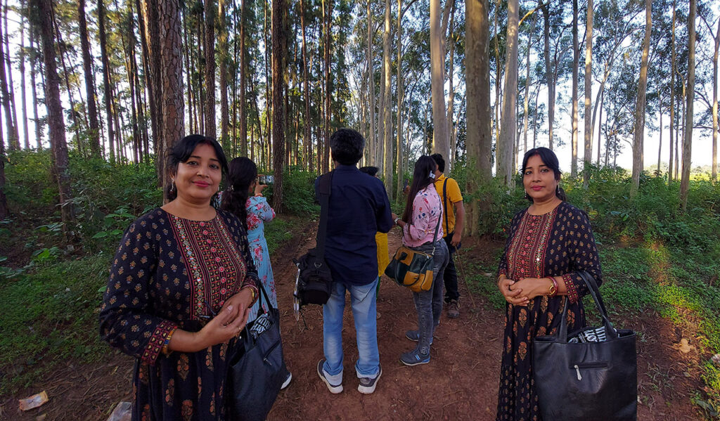 Pain Forest, Daringbari